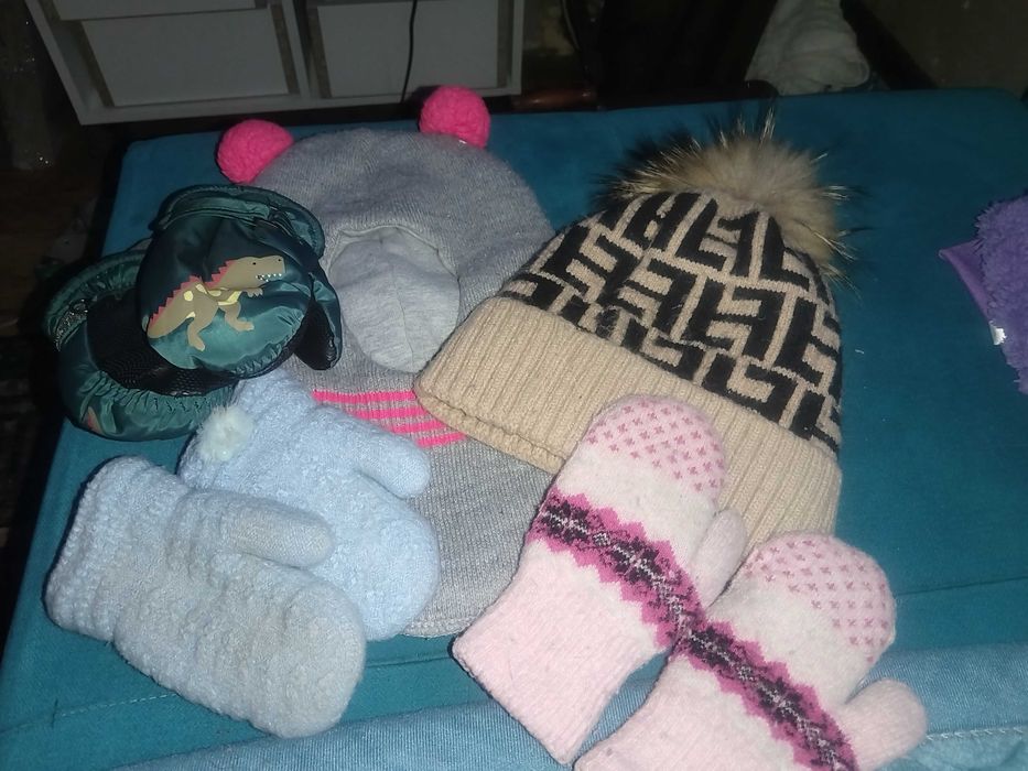 Отдам бесплатно.       .