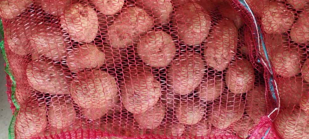 cartofi consum, ceapa,morcovi