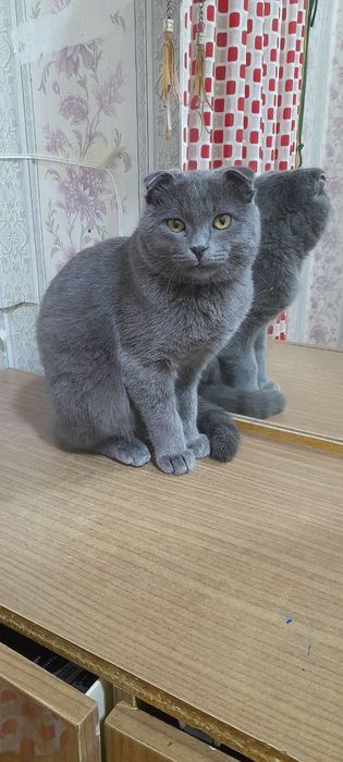 Gigantlar bilan jinsiy aloqa foto