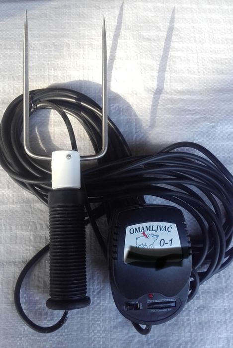 Asomator porci purcei