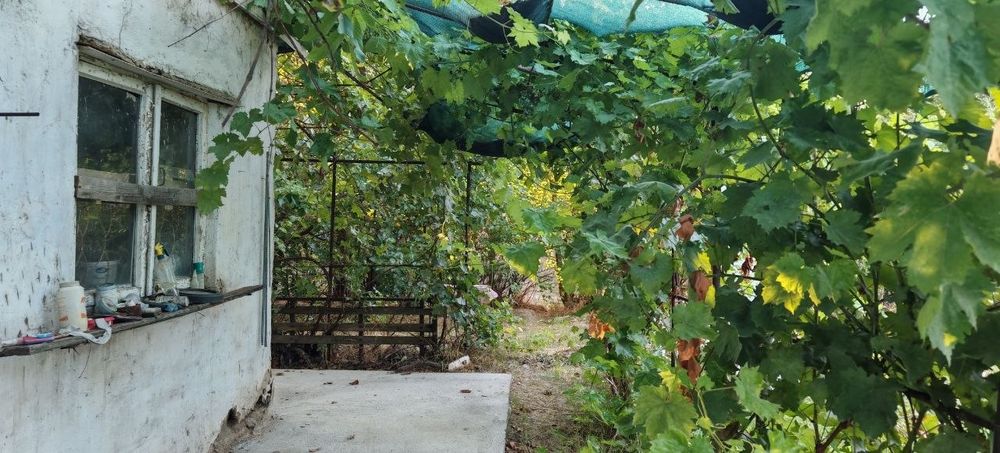 Продам срочно дачу на ташморе. Дача с бассейном на природе.