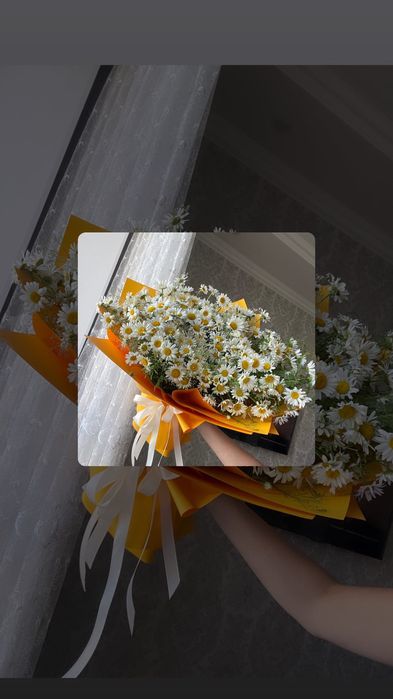 Ромашки дачные , букеты ромашек
