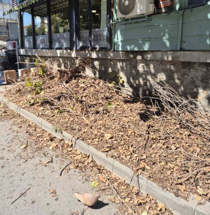 Отпушване на канали