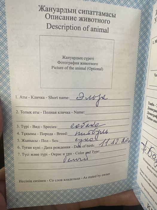 Отдам собаку питбуля