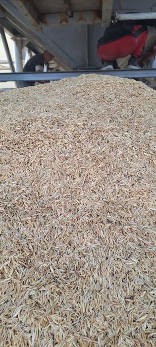З.отход Пшеничный. Лузга Овсяные навалом