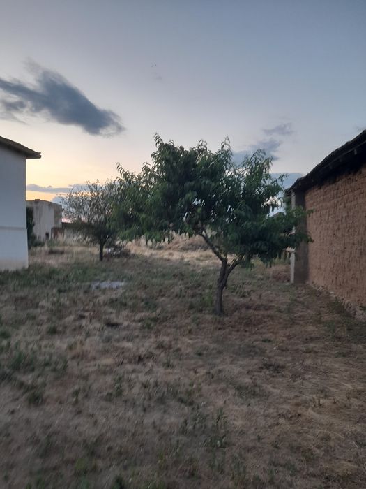 Продавам къща с дворно място 1 декар