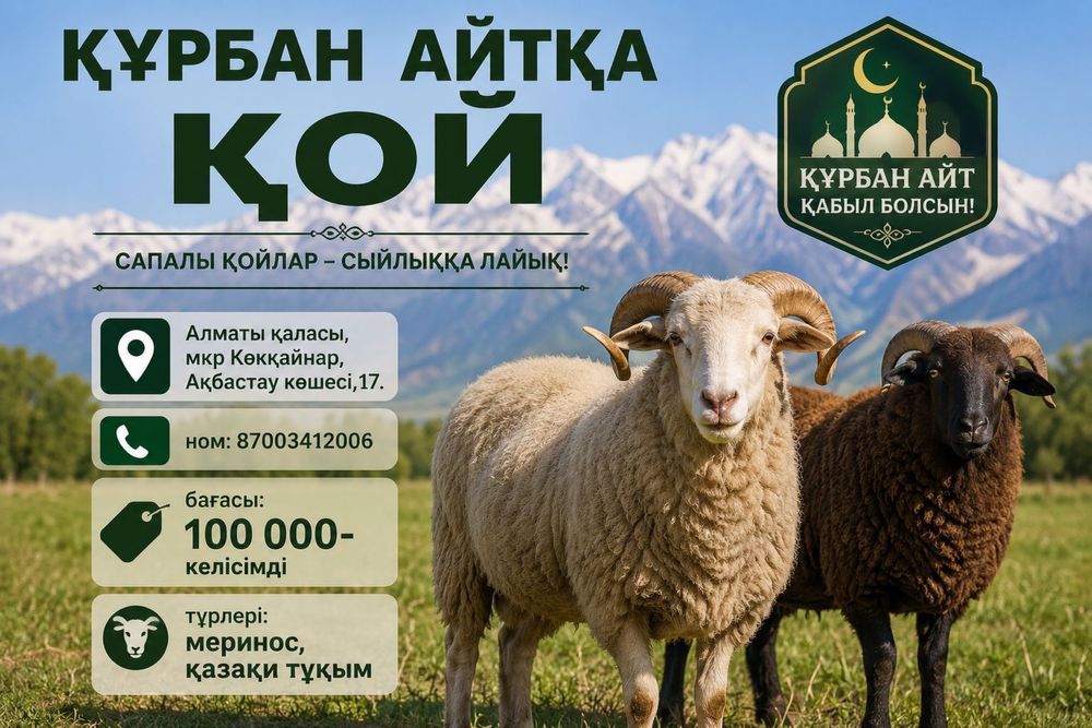 Қой сатылады, миронос 1 жасар саулық