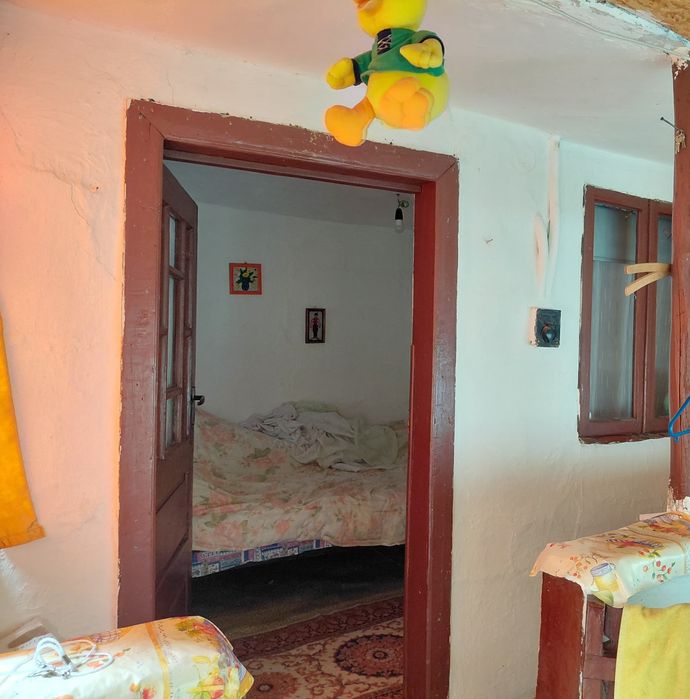 Casa Tradițională de vânzare