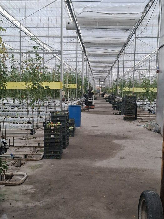 Срочно Продается Земля Кушкунда 16 Гектаров