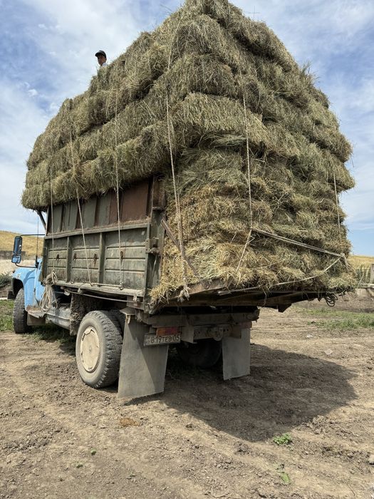 Сено шоп разнотравье