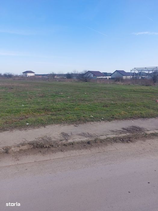 Cornetu - Crizantemelor, Stradal, 3900mp