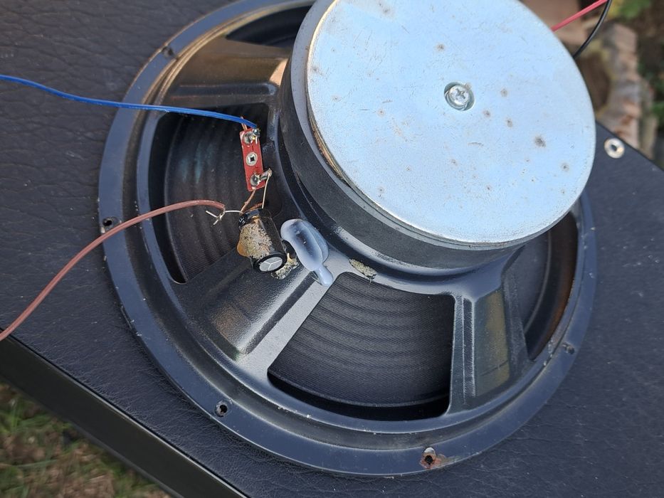 Difuzoare 10 inch  akai X10