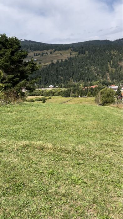 Teren in Vatra Dornei