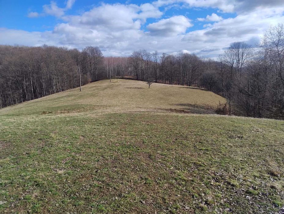 Teren cu panorama de vis , Borod