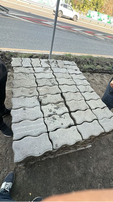 Бурчатка буртчатка бу