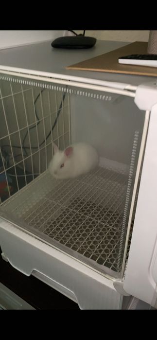 Продам клетку для кролика