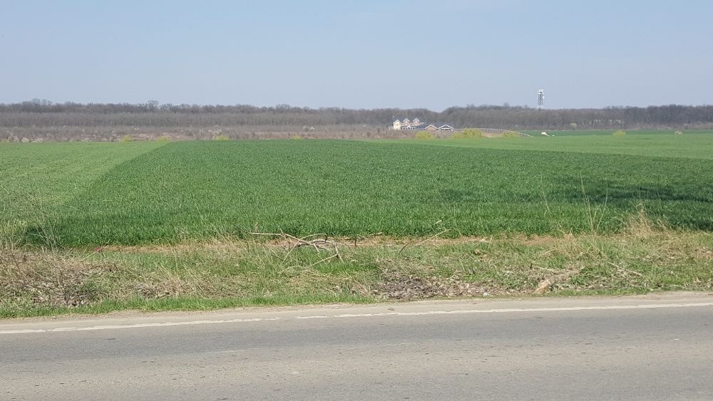 Balotesti, propr, intravi, gaz, c, 8041 - 45141 mp, d lac si padure