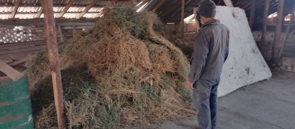 beda sotiladi kelishilgan