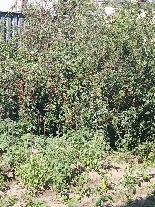 Продам двухэтажный дом