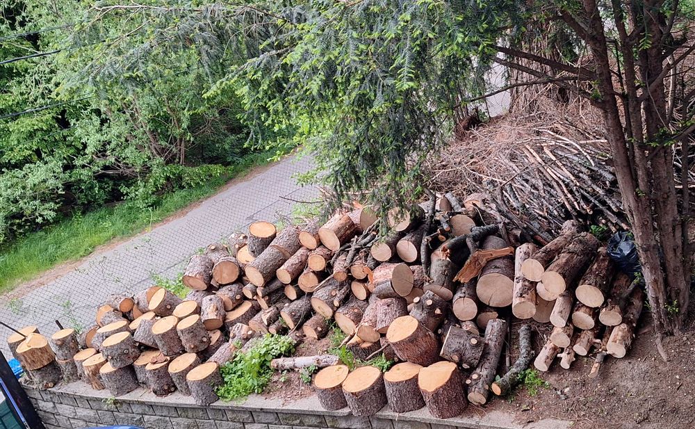 Дънери от шест бора