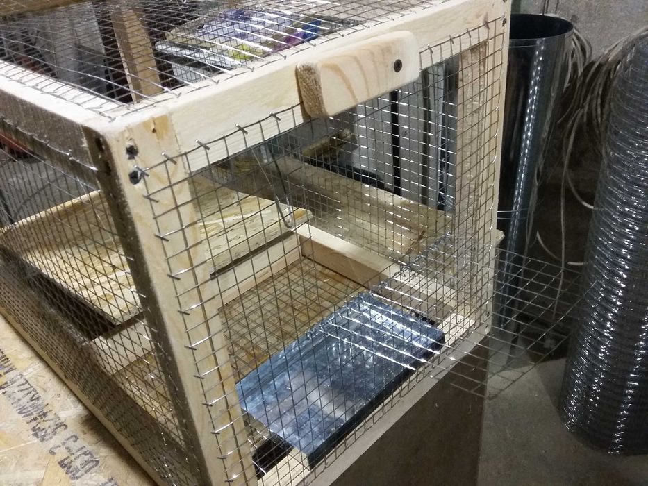 ловушка для кошек