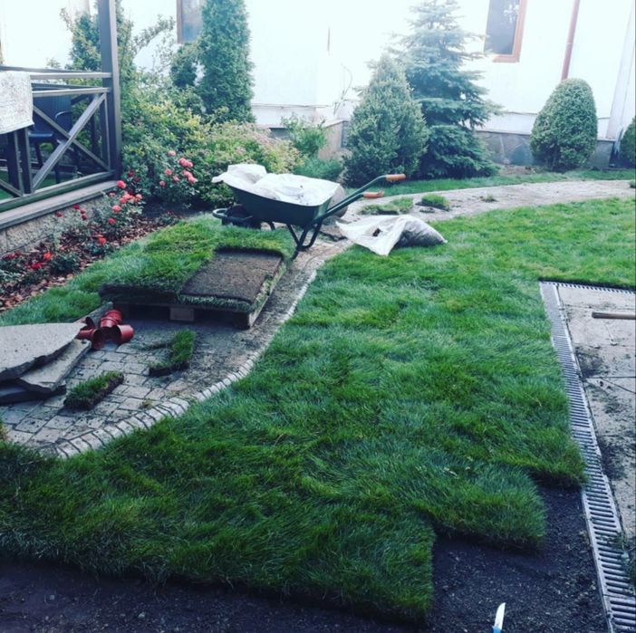 Зеленый газон под ключ