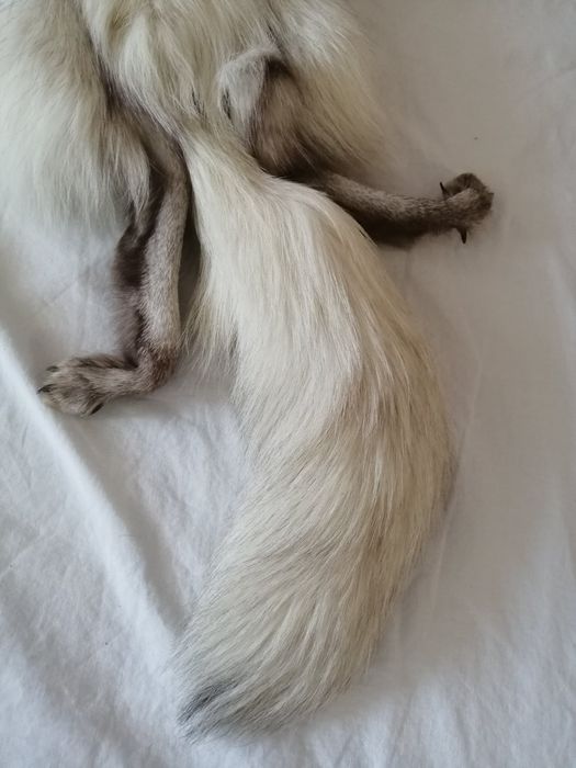 Шал и шапка от сребърна лисица