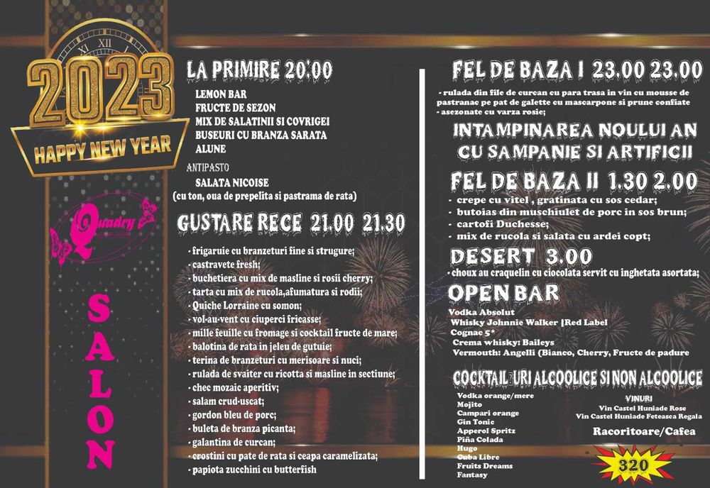 grafica profesionala
