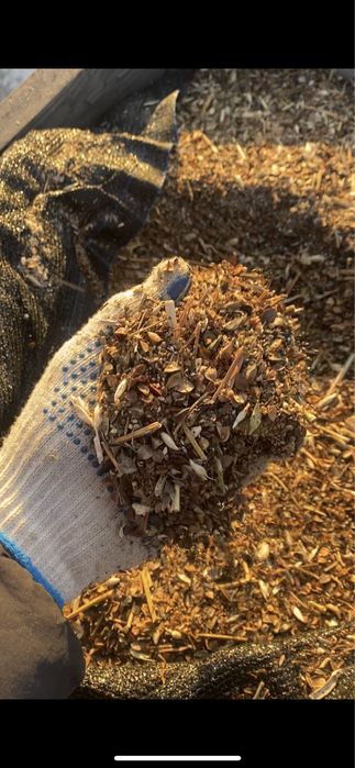 Зерноотходы гречки с семечкой