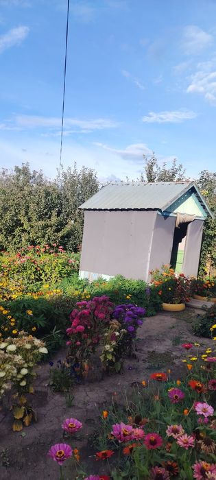 Продам дом город Алтай