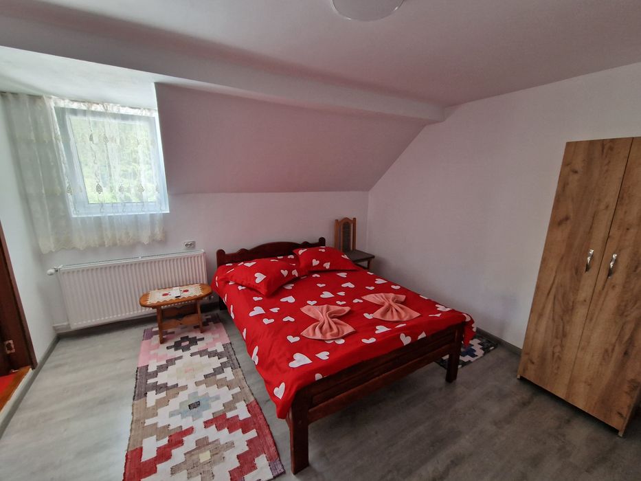 Cabana Armina și Andrei Arieseni