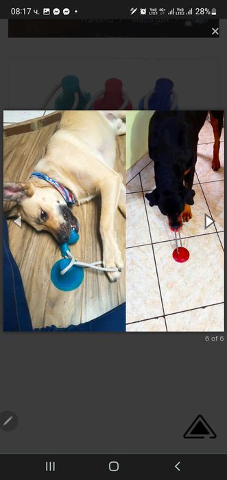 Куче интерактивна играчкиа моларно хапка играчка ластични въжета