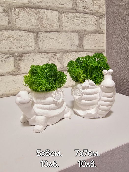 Различни видове кашпи със скандинавски мъх