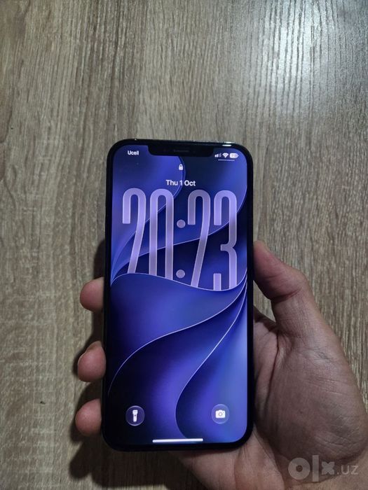 iPhone 12 Pro Max (ideal)