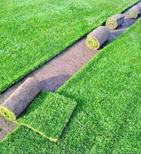 Gazon Rulou Sport Premium Oriunde in tara!