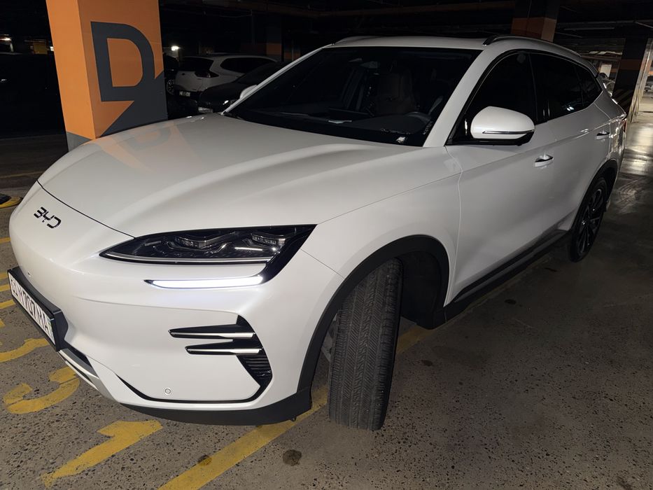 Byd champion restayling