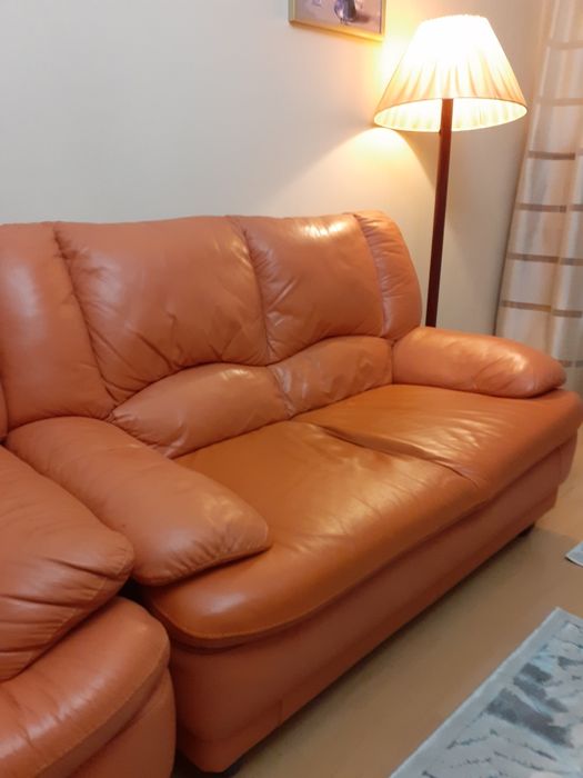 Canapea de piele 2 locuri