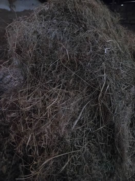 Бауланған шөп сатылады