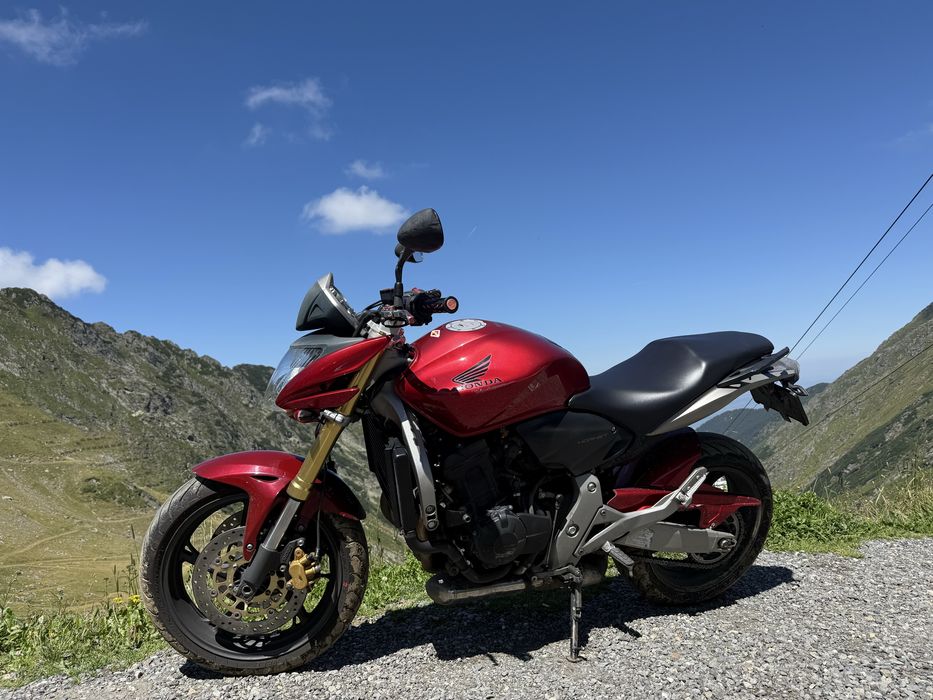 Honda hornet  neked