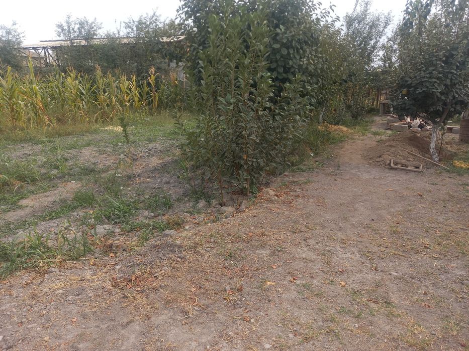 Uy sotiladi 12 sotik