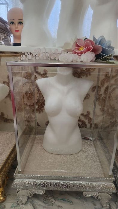 Sarpo qutilari yangi