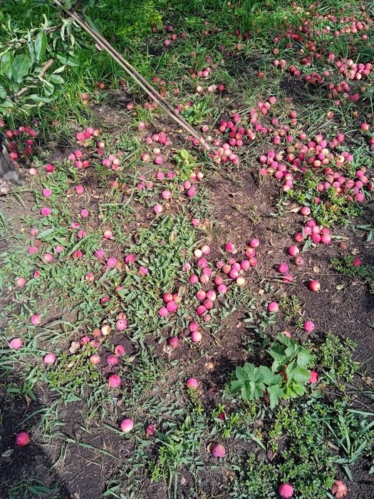 Продается дом в районе