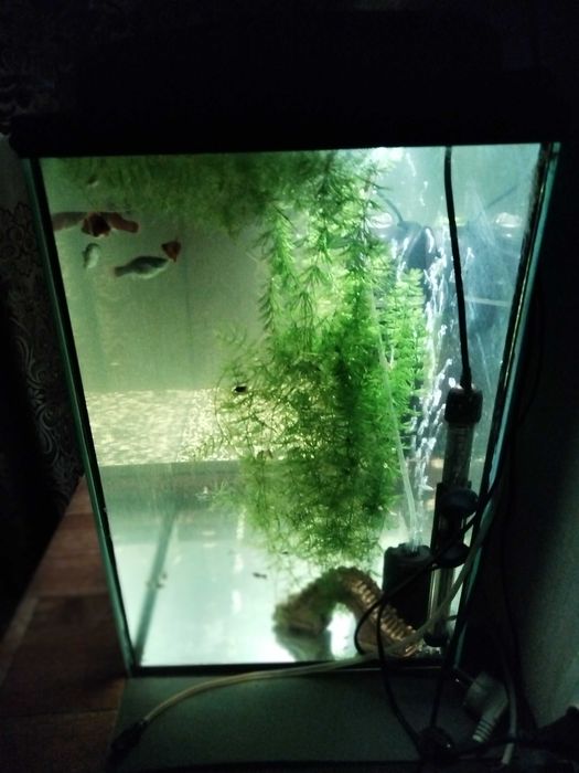 Аквариум с дамбой 120 л.