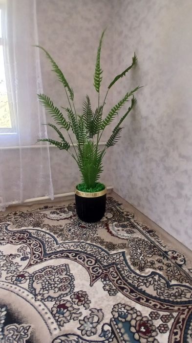 Декоративные деревья
