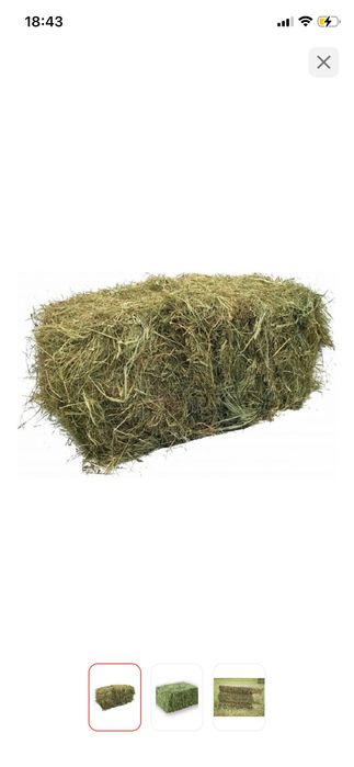 Продам Сено луговое