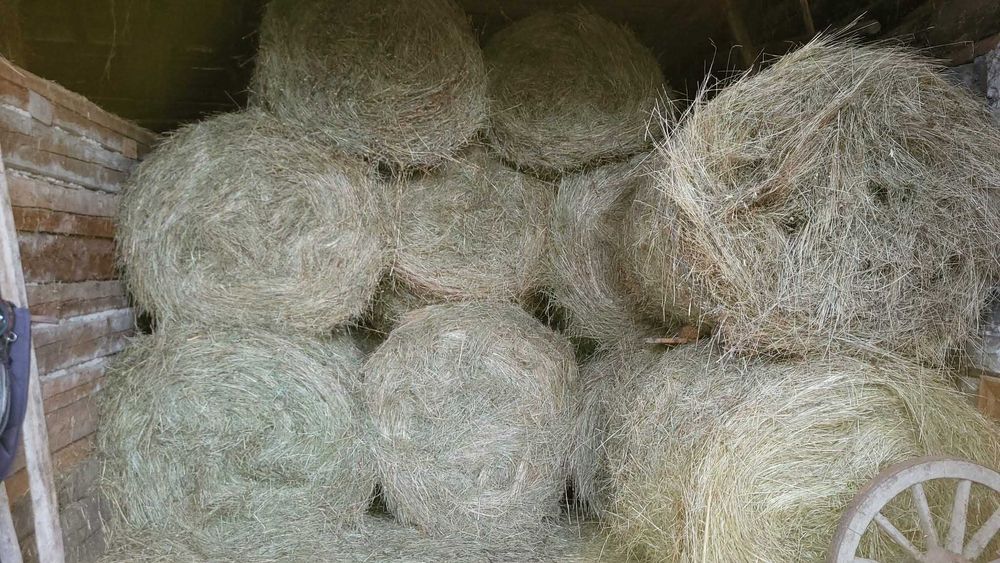 Baloti de fan rotund