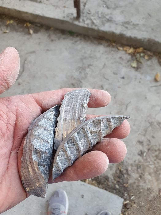 алмазное сверление сухой без повреждения стен аккуратно