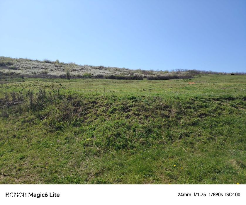 Teren 20 000 mp, deschidere 65 m, Șorogari, Aroneanu, Iasi