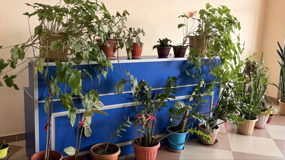 Продам стойку ресепшн