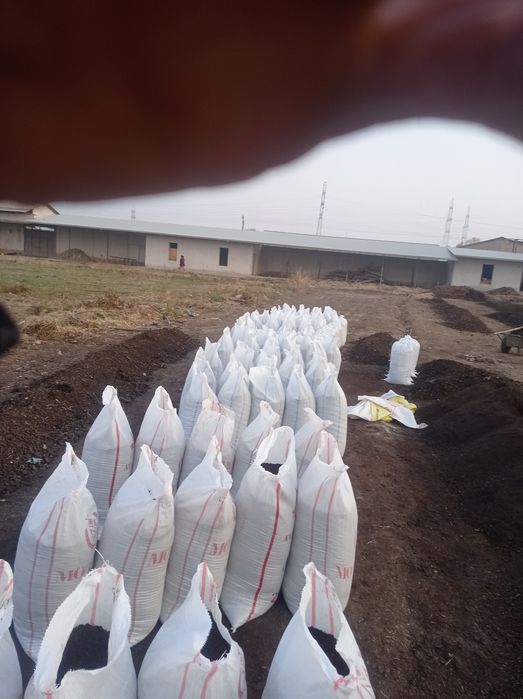 Biogomus chuvalchang